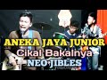 Para Penggemar Banyak Yang Tidak Tahu ❓ ANEKA JAYA JUNIOR Itu Cikal Bakalnya NEO JIBLES ⁉️