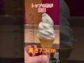 マクドナルド〇〇店　探訪くんソフトツイスト巻き選手権mcdonald s 〇〇 store tanho kun soft twist roll championship