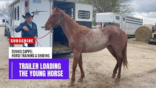 D/C  MAKE TRAILER LOADING EASY FOR THE YOUNG HORSE ... or Any Horse 🐎