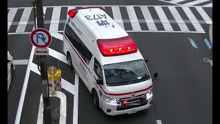 消防車緊急走行【559】堺市消防局　堺救急隊【Japanese fire enjine】