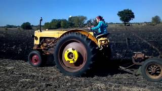 1952 Minneapolis Moline ZAU plowing