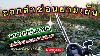 ปลากำลังกัดดีๆเลย ซวยซ้ำซวยซ้อน #fishing #ปลาช่อนธรรมชาติ #นะเน็คจอมเเห้ว #กดติดตามให้หน่อยนะครับ