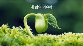 하와이중앙장로교회 (2부: 유빌라테) \