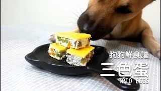 狗狗鮮食譜-三色蛋