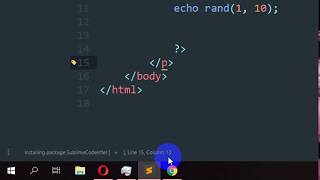 How to use Sublime Text as a Netbeans Java IDE | SublimeCodeIntel