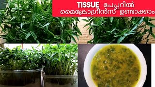 ഇലക്കറികൾ വളർത്താം ഇനി ടിഷ്യു പേപ്പറിൽ||How to make microgreens recipes-malayalam|| FILZAS F4 MEDIA|