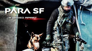 Para SF - \