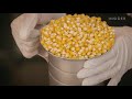 How Popcorn Is Made  Regional Eats