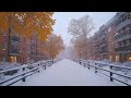 snow laden apartments a snow covered walkway between quiet apartments melancholic tunes