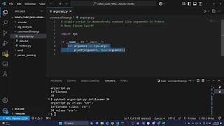 Simple Command Line Arguments in Python