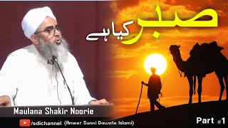 Sabr Kya Hai? | Maulana Shakir Noorie