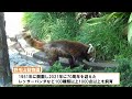 野毛山動物園