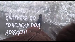 ПРОГУЛКА ЗА ПРОДУКТАМИ по гололеду ПОД ДОЖДЕМ УБОРКА В ДОМЕ и подготовка к сезону Часть 1_15.02.2025