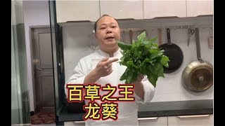 大厨分享，百草之王，皮蛋瘦肉龙葵汤，据说：这种野菜还能治百病