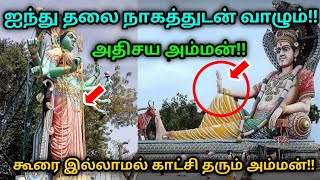 ஐந்து தலை நாகத்துடன் வாழும் அதிசய அம்மன் ! கூரை இல்லாமல் காட்சி தரும் அம்மன் !