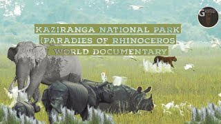 Kaziranga National Park(Paradies Of Rhinoceros |World Documentary Credit to: Kaziranga National Park