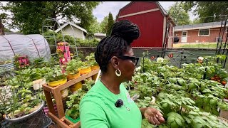 Morning Garden Walk Through!