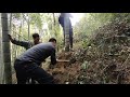 brother wen took his younger brother and sister up the mountain to dig winter bamboo shoots