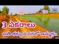 3 Acres Agriculture Land For Sale | Full Water | #agriculturelands #agriculture #farmlands #redsoil