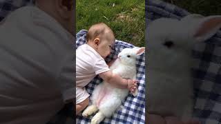 #baby and #bunny #rabbit sleeping