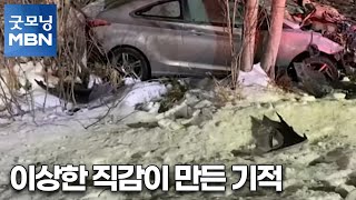 [굿모닝월드] 이상한 직감이 만든 기적[굿모닝MBN]