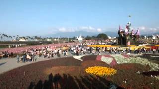 Sea of Flowers in Xinshe 新社花海(2013年) - 02