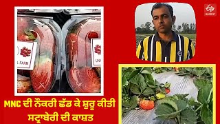 Strawberry Cultivation: ਇੰਜੀਨੀਅਰ ਦੀ ਨੌਕਰੀ ਛੱਡ ਸ਼ੁਰੂ ਕੀਤੀ ਸਟ੍ਰਾਬੇਰੀ ਦੀ ਕਾਸ਼ਤ, ਕੀਤੀ ਹੋਰਨਾਂ ਲਈ ਮਿਸਾਲ ਕਾਇਮ