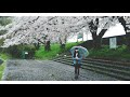 april rain sad u0026 beautiful piano ｜bigricepiano