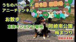 お散歩 東海オンエアの聖地 岡崎南公園 梅まつり　2023.3.10.