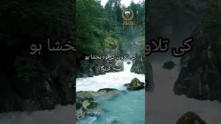 Hamare Huzoor ﷺ Ki 6 khubsurat Hadees |# Urdu Status Videos#Islamic#Hadees Status@islami.178