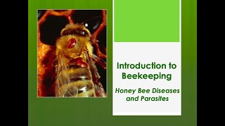 Honey Bee Diseases and Parasites: Introduction to Beekeeping