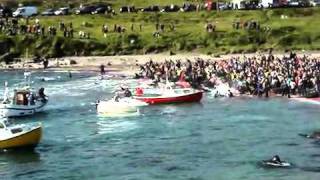 "the grind" (stranding and slaughter of pilot whales) Torshavn, Faeroe Islands