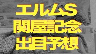 【両方的中】エルムステークス・関屋記念〜ズバリ馬券になる出目枠とは？