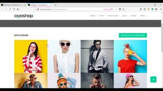 Instagram Shortcode— Popular Premium WordPress Theme