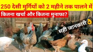 250 देसी मुर्गियों को 2 महीने तक पालने में कितना खर्चा और कितना मुनाफा(Local chicken farming)