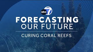 Forecasting Our Future: Curing Coral Reefs