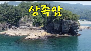 전노캠#48 백악기 그곳, 고성 상족암