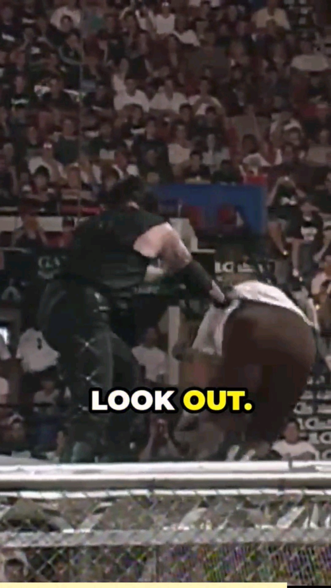 The Undertaker Throws Mankind Off The Top Of The Hell In A Cell: 1998 ...