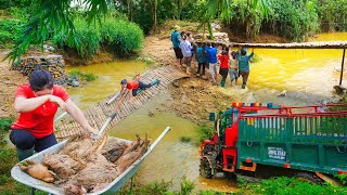 Heavy Floods Destroy Farm And The Newly Built Bridge - Villagers Came To Help - Farm Life