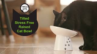 Necoichi Tilted Raised Food Bowl