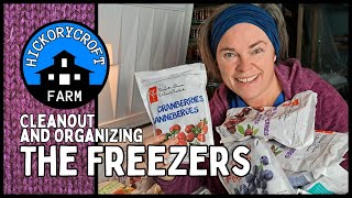 FREEZER CHALLENGE: Using What We Have In The Freezer Cleanout And Organization (Freezer Vlog)