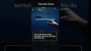 Sebuah tips