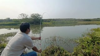 水草边上无敌了全是土鲮鱼，连竿太过瘾了，都是饵料搭配的功劳