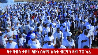 ኣቀባብላ ታቦት ኣቡነ ሰላማ ከሳቴ ብርሃን ኣብ ምድረ ገነት 70 ካሬ