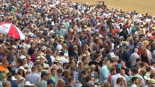 Watch The Belmont Stakes on NBC