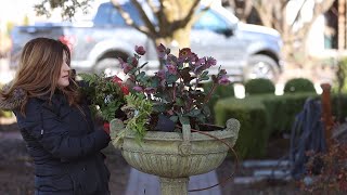 Early Spring Flower Planting! 🌿🌸 // Garden Answer