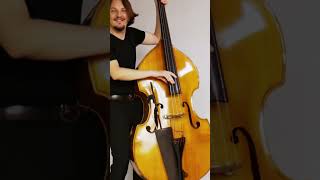 Skwirut - Just the Double Bass