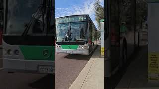 TP1381!!! LOUD ZF!!! DEPARTING!!! #ZF #LOUDZF #Transport #transperthbus #transperth #bus #automobile