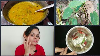 Odia Recipe Vlogଟେଷ୍ଟି କୋଳଥ ଡାଲି ରେସିପି , ସାରୁ ନାଡ଼ ହେଣ୍ଡୁଆ ରେସିପି