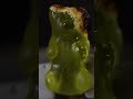 gummy bear vs gas torch